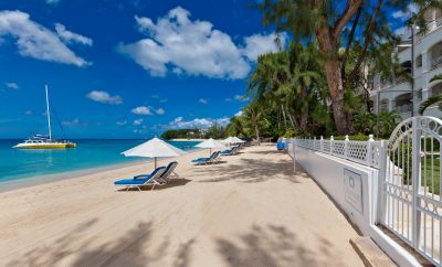 Old Trees 7 – Bella Vista