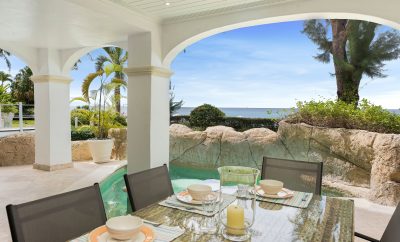 Old Trees 3 – Sundance