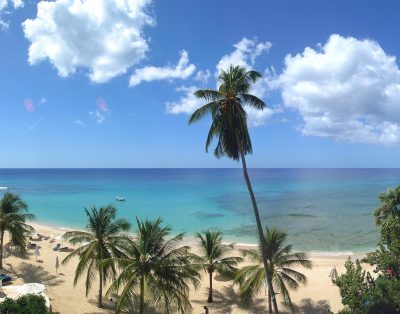 Glitter Bay Estate 412 – Beach Palms