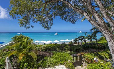 Coral Cove 4, Green Fields