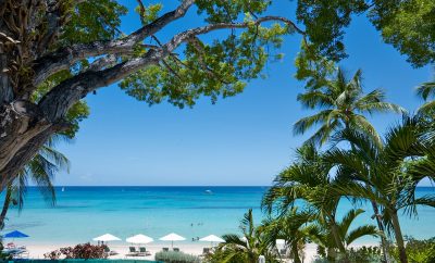 Coral Cove 5, Shutters